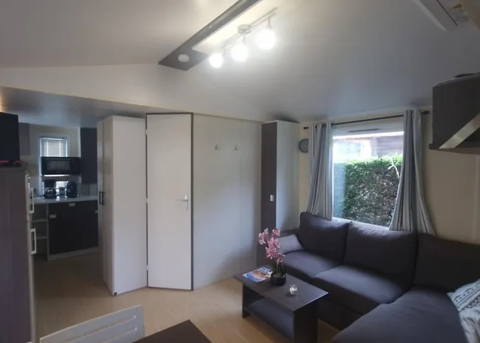 Mobil-home, Piscine, Wifi, Climatise キャンプ場